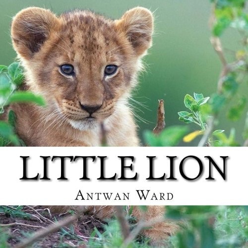 Little Lion