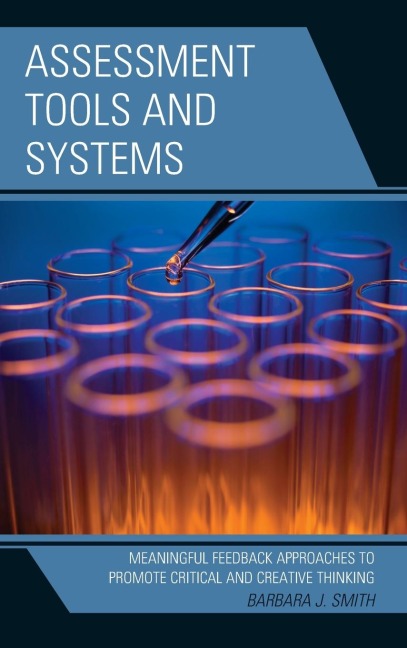 Assessment Tools and Systems: Meaningful Feedback Approaches to Promote Critical and Creative Thinking