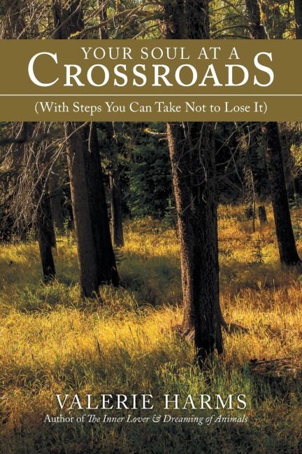 Your Soul at a Crossroads: (With Steps You Can Take Not to Lose It)