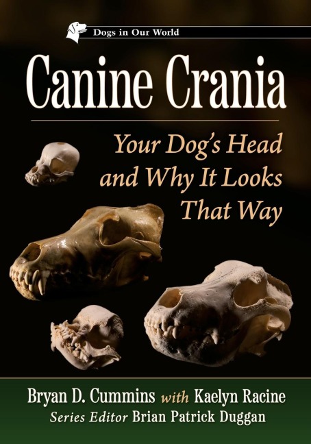 Canine Crania: Your Dogs Head and Why It Looks That Way