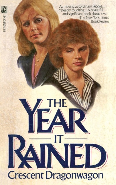THE YEAR IT RAINED