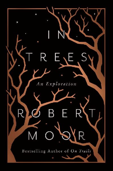 In Trees: An Exploration