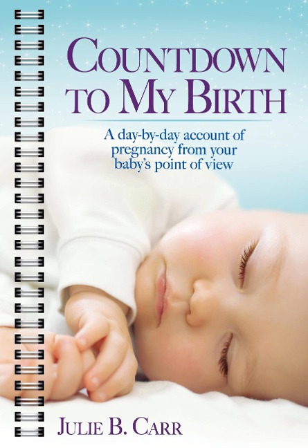 Countdown to My Birth: A Day-By-Day Account of Pregnancy from Your Babys Point of View
