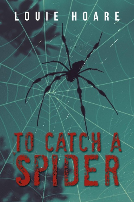 To Catch a Spider