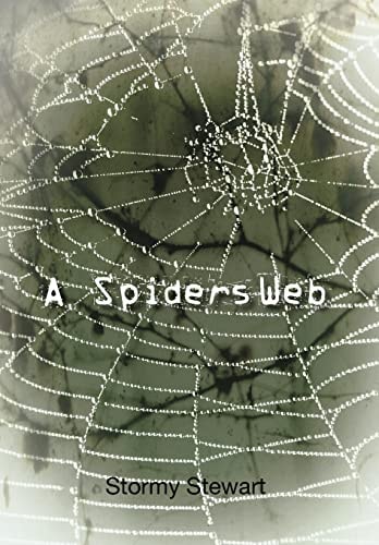 A Spiders Web