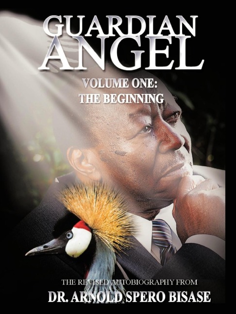 Guardian Angel: Volume One: The Beginning