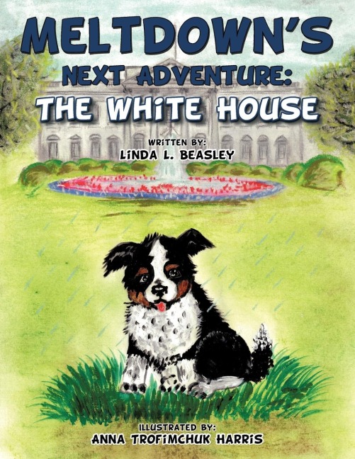 Meltdowns Next Adventure: The White House