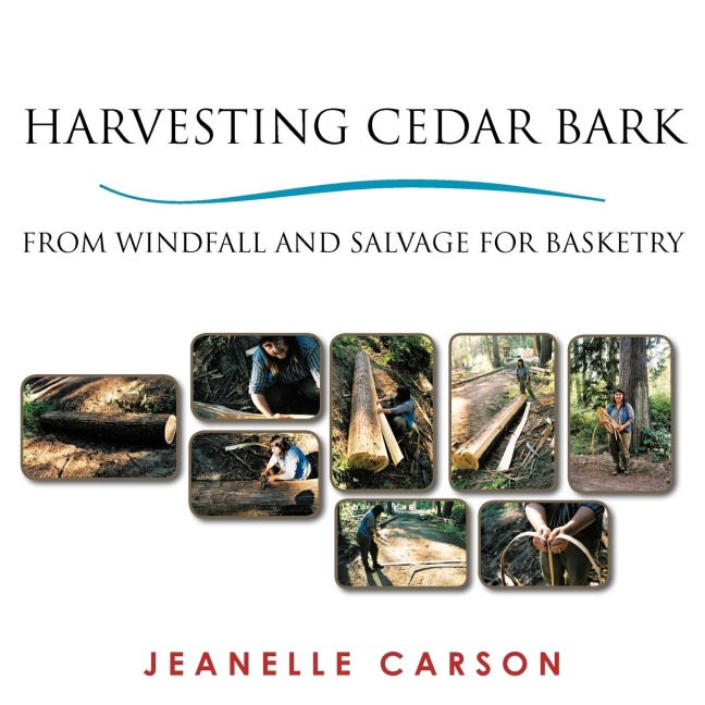 HARVESTING CEDAR BARK: FROM WINDFALL AND SALVAGE FOR BASKETRY