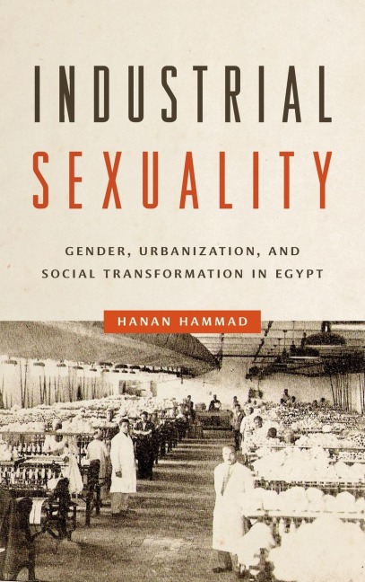 Industrial Sexuality: Gender, Urbanization, and Social Transformation in Egypt