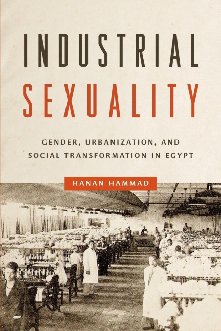 Industrial Sexuality: Gender, Urbanization, and Social Transformation in Egypt