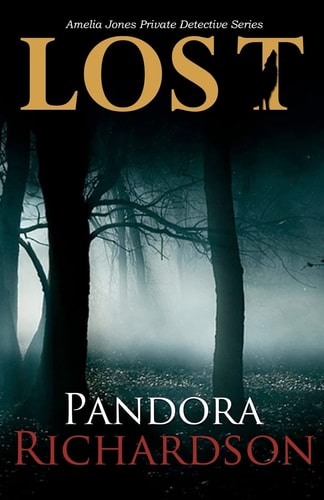Lost Amelia Jones Private Detective Series