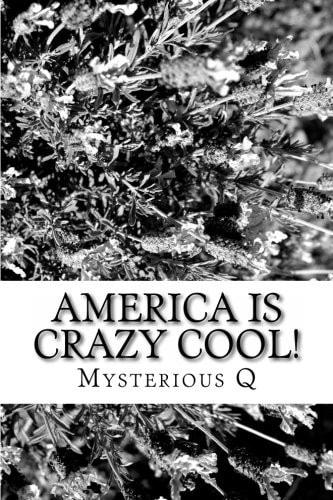 America Is CRAZY COOL!