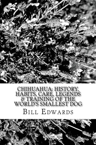 Chihuahua History, Habits, Care, Legends & Training of the World's Smallest Dog