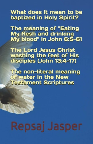 What Does It Mean to Be Baptized in Holy Spirit ?