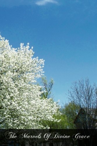 The Marvels Of Divine Grace Meditations Based On The "Glories Of Divine Grace"