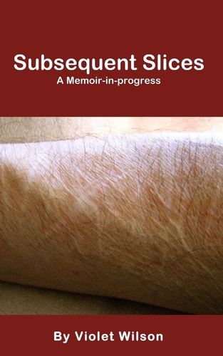 Subsequent Slices A Memoir-in-progress