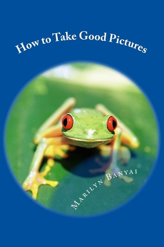 How to Take Good Pictures How to Improve Your Photography, Quick Easy Tips for Taking Better Pictures