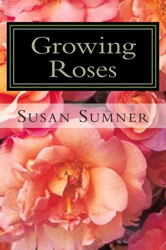 Growing Roses Everything You Need to Know, and More . . .