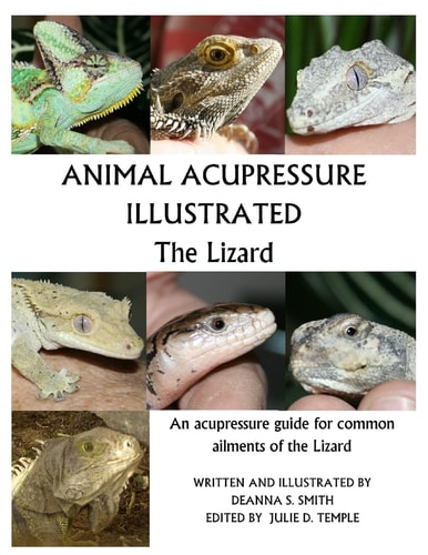 Animal Acupressure Illustrated The Lizard
