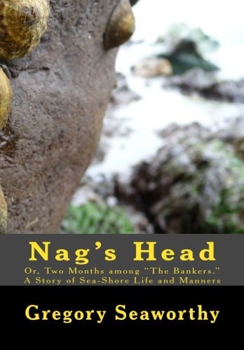 Nag's Head Or, Two Months Among "The Bankers." A Story of Sea-Shore Life and Manners