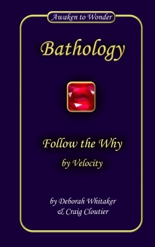 Follow the Why By Velocity