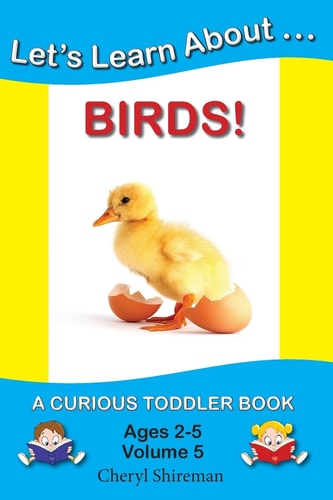 Let's Learn About... Birds! A Curious Toddler Book