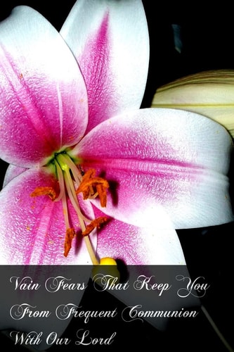 Vain Fears That Keep You From Frequent Communion With Our Lord Instructions Useful For All Even For Confessors