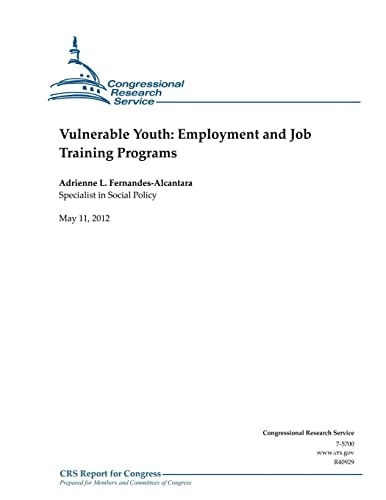Vulnerable Youth Employment and Job Training Programs
