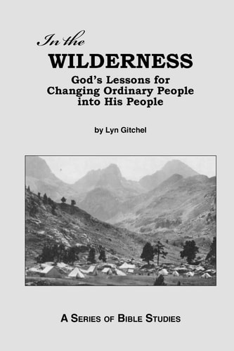 In the Wilderness God's Lessons for Changing Ordinary People Into His People