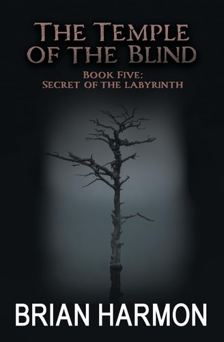 Secret of the Labyrinth The Temple of the Blind #5