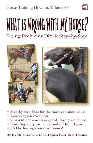 What Is Wrong with My Horse? Fixing Problems DIY and Step-By-Step