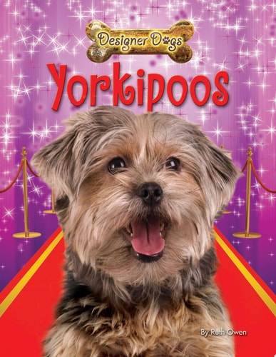 Yorkipoos