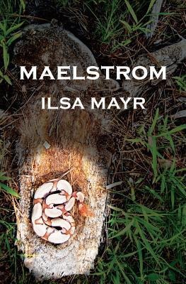 Maelstrom