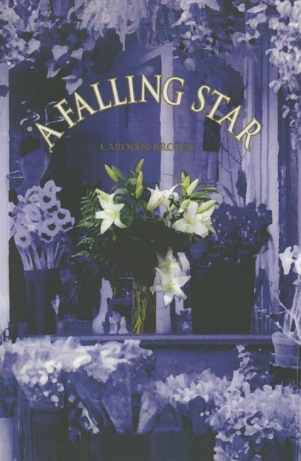 A Falling Star