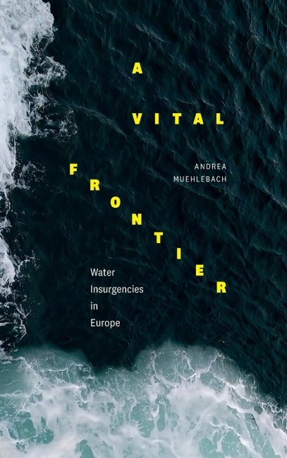 A Vital Frontier: Water Insurgencies in Europe