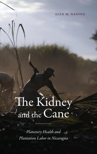 The Kidney and the Cane: Planetary Health and Plantation Labor in Nicaragua