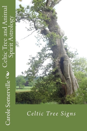 Celtic Tree and Animal Spirit Astrology Celtic Tree Signs