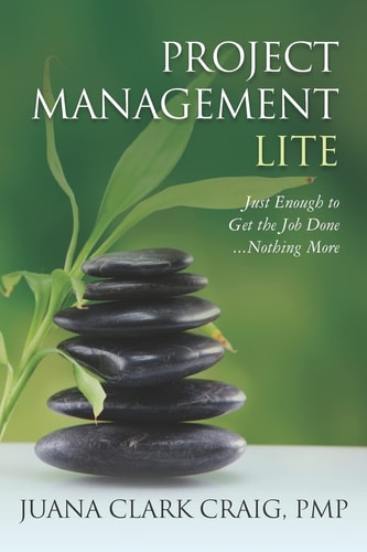 Project Management Lite Just Enough to Get the Job Done ... Nothing More