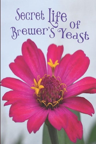 Secret Life of the Brewer's Yeast A Microbiology Tale