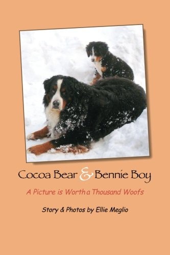 Cocoa Bear & Bennie Boy A Picture is Worth a Thousand Woofs