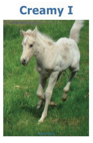 Creamy 1 You Chose April Fools Foal