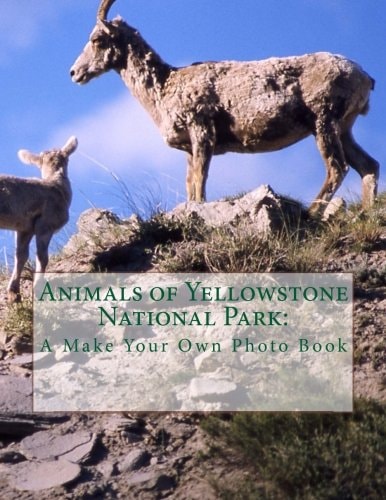 Animals of Yellowstone National Park A Make Your Own Photo Book