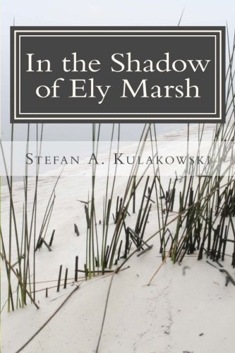 In the Shadow of Ely Marsh