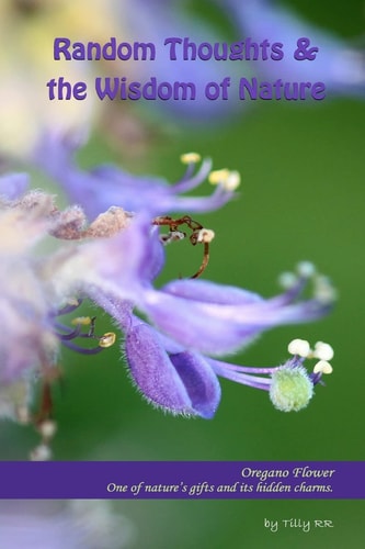 Random Thoughts and the Wisdom of Nature