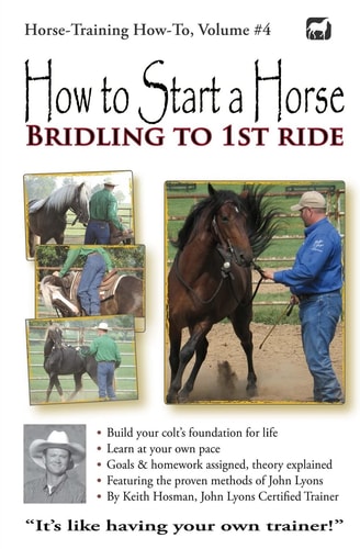 How to Start a Horse Bridling to 1st Ride