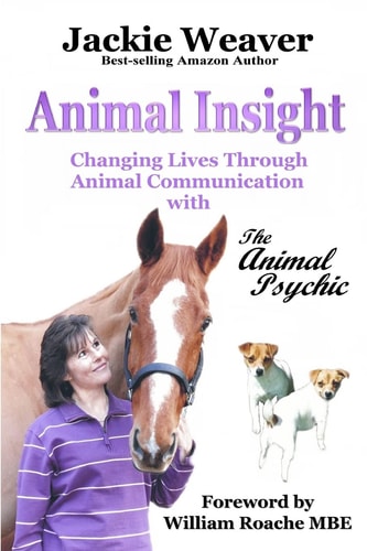 Animal Insight Animal Communication with The Animal Psychic