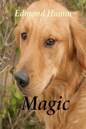 Magic The Story of a Lost Dog and a Wounded Marine.