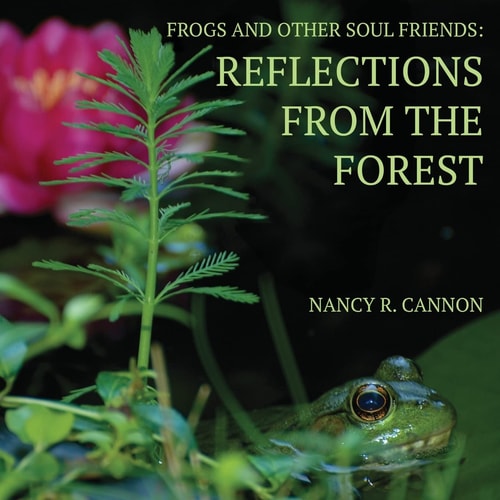 Frogs and Other Soul Friends Reflections from the Forest