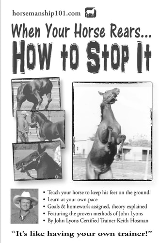 When Your Horse Rears: How to Stop It (Horse Training How-To)