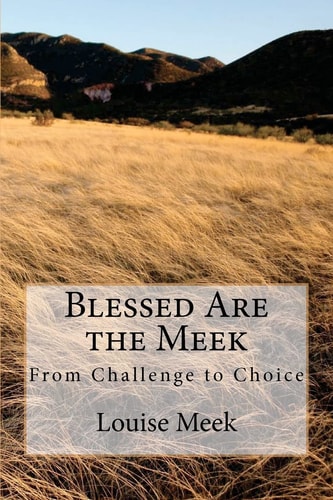 Blessed Are the Meek From Challenge to Choice